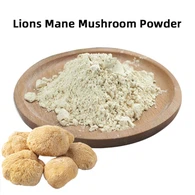 Polvo de extracto de hongo de melena de Lion's Mane
